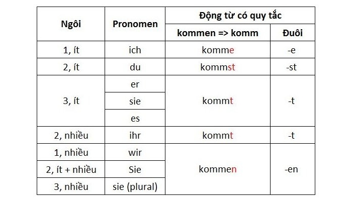 Giới thiệu về cách chia động từ tiếng Đức
